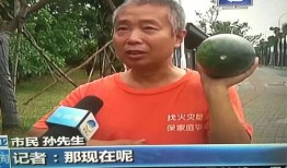 娱乐圈吃瓜群众热点