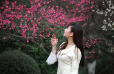 骚人美女,古典才情与绝代风华的完美融合