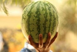 2021娱乐圈吃瓜不断,瓜田李下，明星风云录