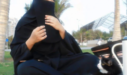 娱乐圈吃瓜君七七,揭秘明星背后的秘密与八卦