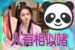 娱乐吃瓜小阿酱是谁呀小说,揭秘网络小说中的神秘女主角