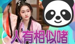 娱乐吃瓜小阿酱是谁呀小说,揭秘网络小说中的神秘女主角